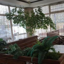 Kisgömböc Ételbár Debrecen - Egyéb