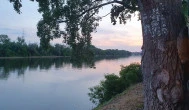 Kiskőrössy Halászcsárda Szeged - Külső kép
