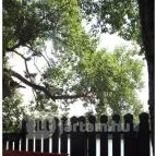 Kiskőrössy Halászcsárda Szeged - Külső kép