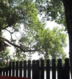 Kiskőrössy Halászcsárda