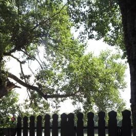 Kiskőrössy Halászcsárda Szeged - Külső kép