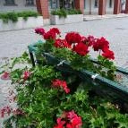 Kispipa Halászcsárda Miskolc - Külső kép