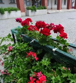  Kispipa Halászcsárda