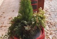 Kisteleki Rétesház Kistelek