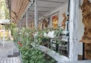 Kőcsárda Csongrád