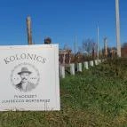 Kolonics Kúria Somlóvásárhely - Egyéb