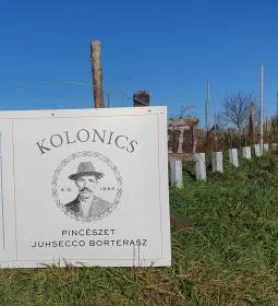 Kolonics Kúria