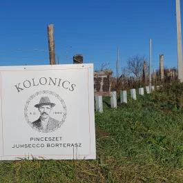 Kolonics Kúria Somlóvásárhely - Egyéb