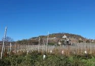 Kolonics Kúria Somlóvásárhely