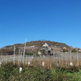 Kolonics Kúria Somlóvásárhely - Egyéb