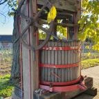 Kolonics Kúria Somlóvásárhely - Egyéb