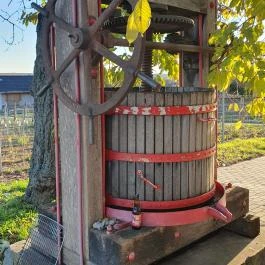 Kolonics Kúria Somlóvásárhely - Egyéb