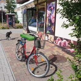 Korzó Fagylaltozó, Mosonmagyaróvár - Külső kép