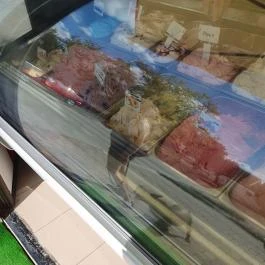 Korzó Fagylaltozó, Mosonmagyaróvár - Étel/ital