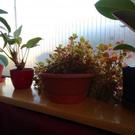 Korzó Presszó, Miskolc - Belső