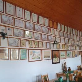 Kovács borház, Hajós - Egyéb