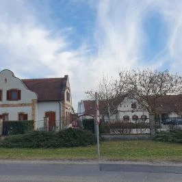 Kovács borház, Hajós - Egyéb