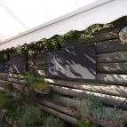 Kővirág Étterem Köveskál - Étlap/itallap