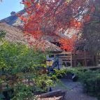 Krapaj Csárda Diósd - Egyéb