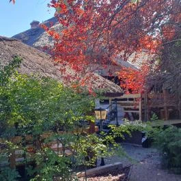 Krapaj Csárda Diósd - Egyéb