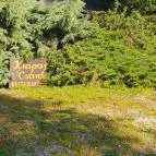 Krapaj Csárda Diósd - Egyéb