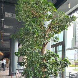 Kreinbacher Bistro Somlóvásárhely - Belső