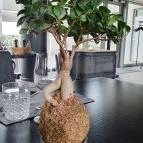 Kreinbacher Bistro Somlóvásárhely - Belső