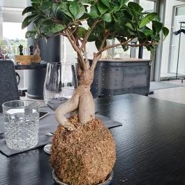 Kreinbacher Bistro Somlóvásárhely - Belső