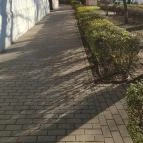 Krusovice Sörház Jászberény - Egyéb