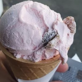 Kuckó Fagyizó Göd - Egyéb