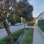 Kulacs Vendéglő Kiskunfélegyháza - Egyéb