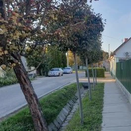 Kulacs Vendéglő Kiskunfélegyháza - Egyéb