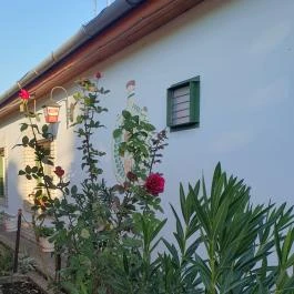 Kulacs Vendéglő Kiskunfélegyháza - Egyéb