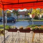 Kulacs Vendéglő Kiskunfélegyháza - Egyéb