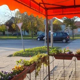 Kulacs Vendéglő Kiskunfélegyháza - Egyéb