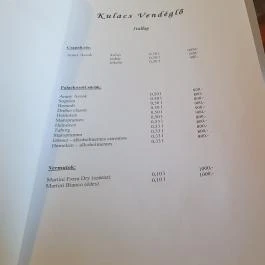 Kulacs Vendéglő Kiskunfélegyháza - Egyéb