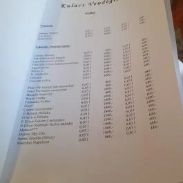 Kulacs Vendéglő Kiskunfélegyháza - Egyéb