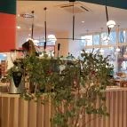 Kunszt Veszprém - Egyéb