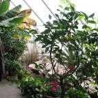 Kurta Étterem Kiskőrös - Belső