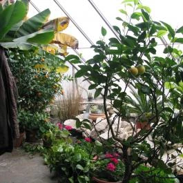 Kurta Étterem , Kiskőrös - Belső