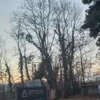 Kútház Kávézó Gödöllő - Egyéb