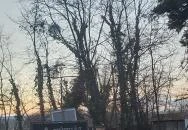 Kútház Kávézó Gödöllő