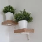 La Coppola Express Dabas - Egyéb