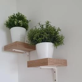 La Coppola Express Dabas - Egyéb