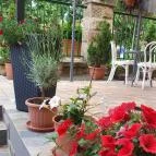 La Sposa Caffe Gyula - Egyéb