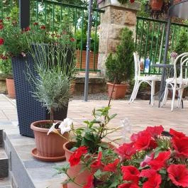 La Sposa Caffe, Gyula - Egyéb