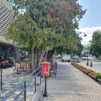 La Téne Desszertműhely és Kávéház Badacsony - Külső kép