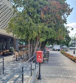 La Téne Desszertműhely és Kávéház