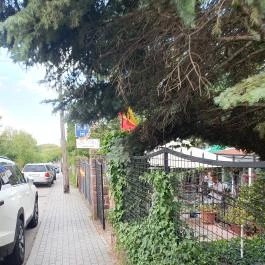 La Vida Tapas Balatonalmádi - Egyéb