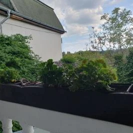 La Vida Tapas Balatonalmádi - Egyéb